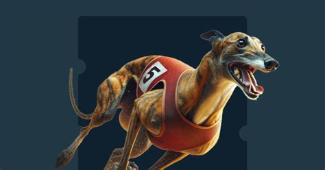 Greyhound Racing Betting Guide: All You Need to .